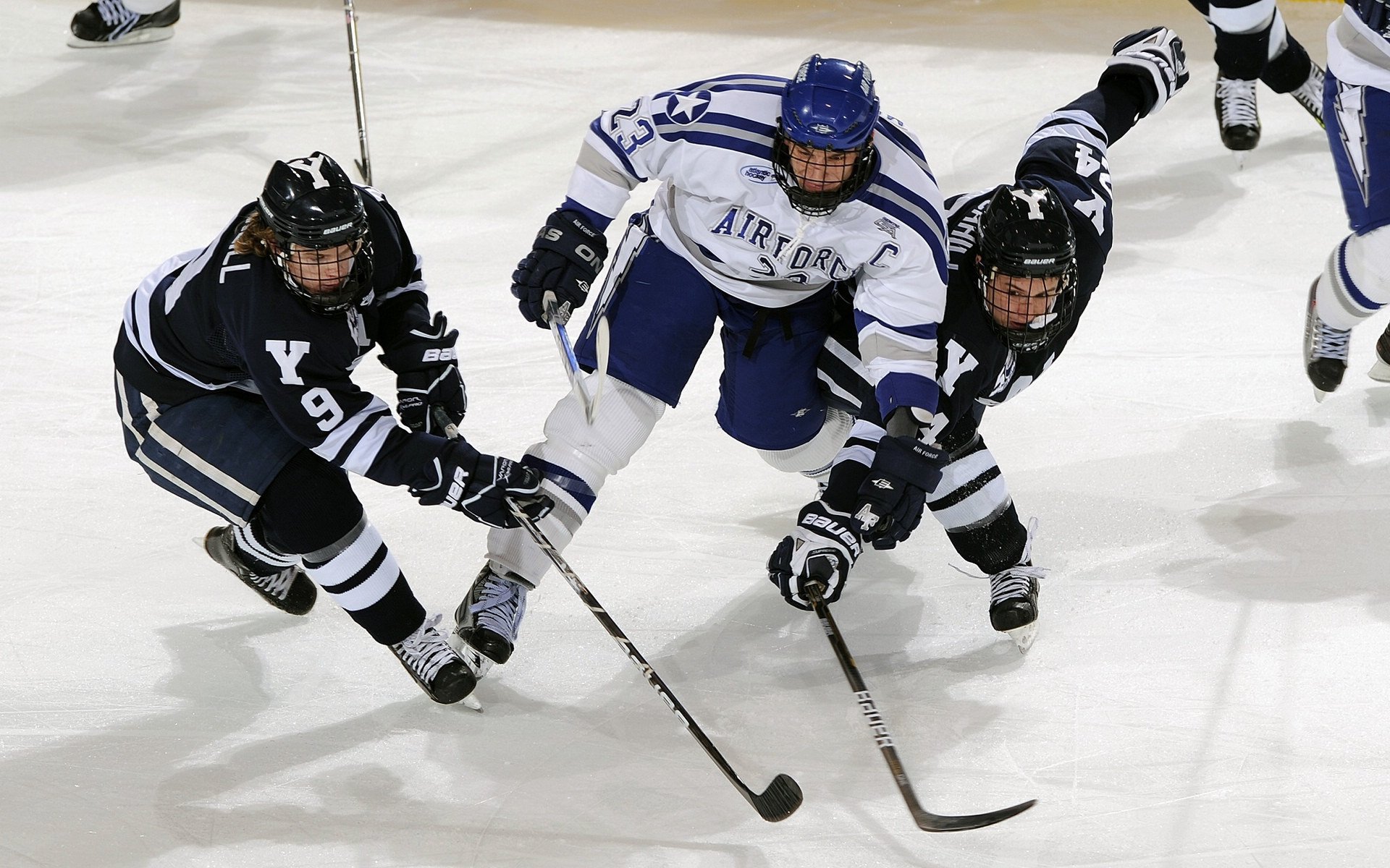 爱游戏登录入口-逆境中崛起的“黑马军团”：他们的成功启示录，黑马团队